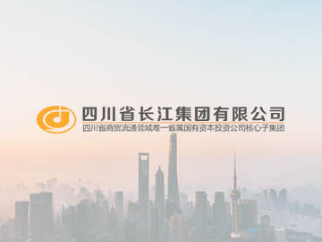 成都集團(tuán)上市公司網(wǎng)站建設(shè),集團(tuán)公司網(wǎng)站建設(shè)